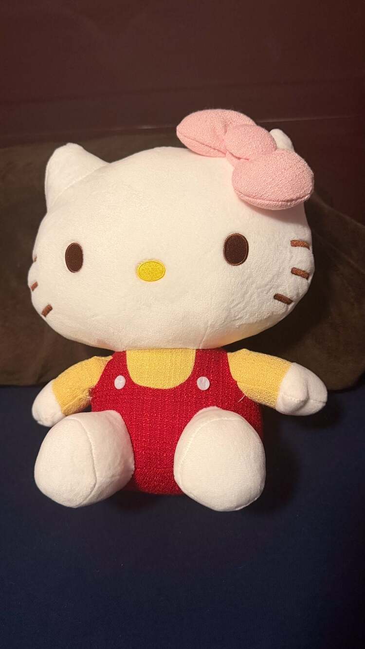 Sanrio Hello Kitty Round1 Exclusive Tweed Plushie